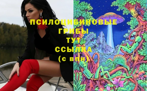 кокс Михайлов