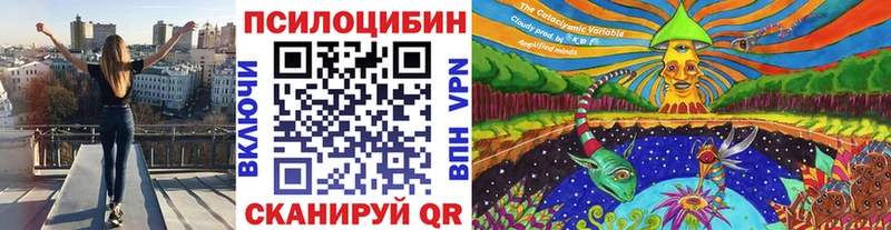 Купить закладки  Костомукша  Псилоцибиновые грибы MAGIC MUSHROOMS 
